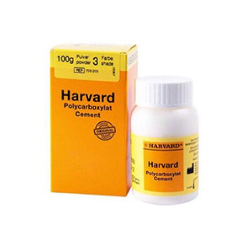 HARVARD CEMENTO POLVERE N. 3 100 gr Cementi Prodotti odontoiatrici DENTAL PROVIDES a Andria